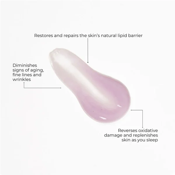 Age-Defying Night Cream - Image 5